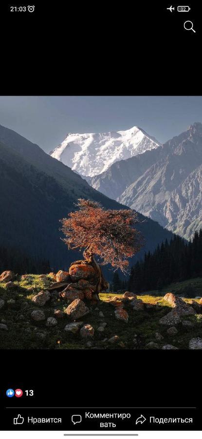 Ala-Kul Guesthouse In Altyn-Arashan Karakol Exteriér fotografie