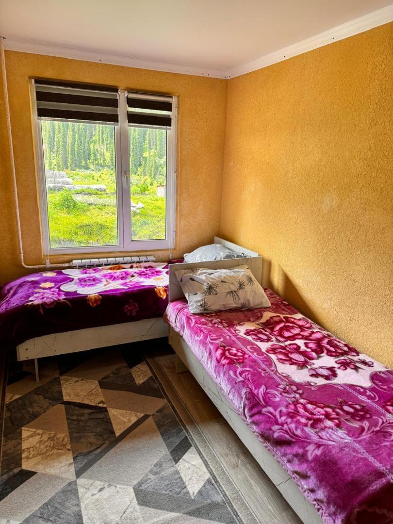 Ala-Kul Guesthouse In Altyn-Arashan Karakol Exteriér fotografie
