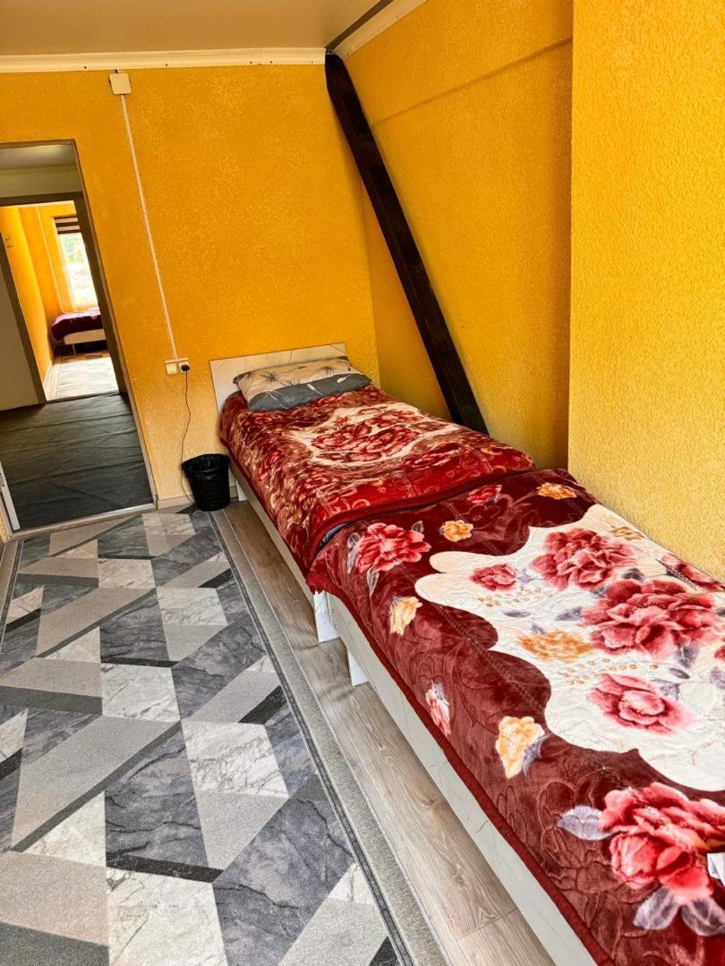 Ala-Kul Guesthouse In Altyn-Arashan Karakol Exteriér fotografie