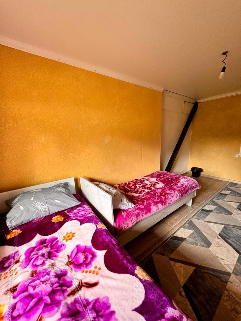 Ala-Kul Guesthouse In Altyn-Arashan Karakol Exteriér fotografie