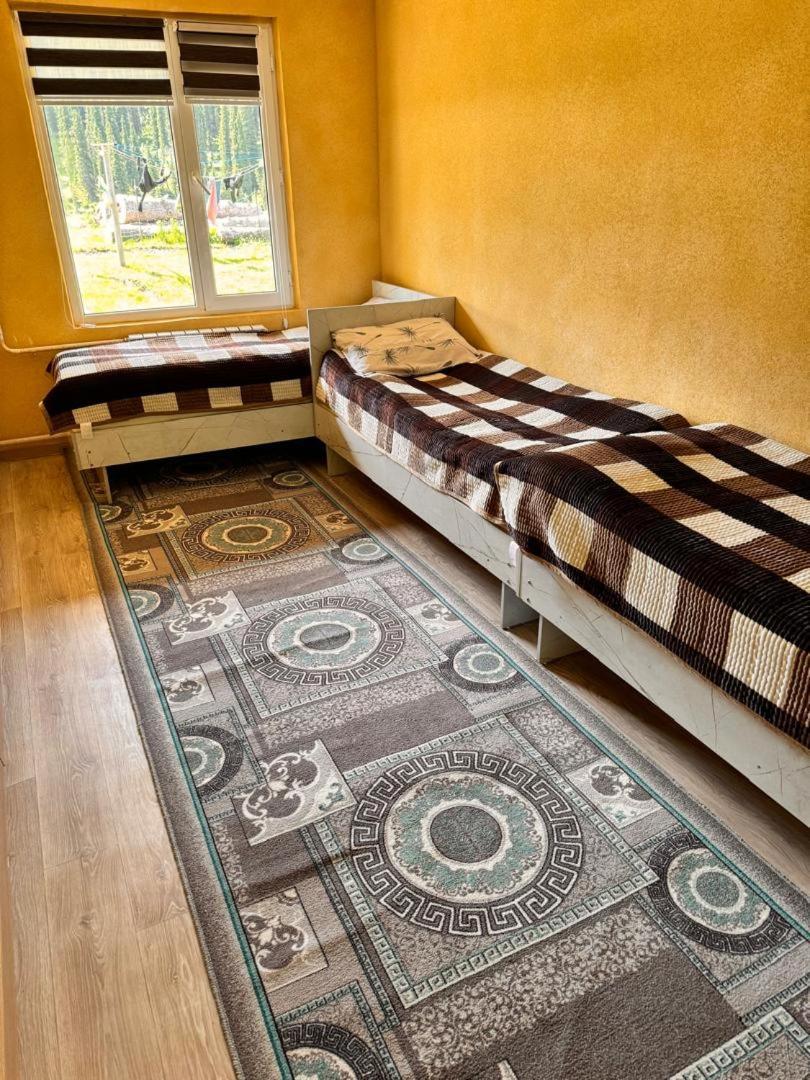 Ala-Kul Guesthouse In Altyn-Arashan Karakol Exteriér fotografie