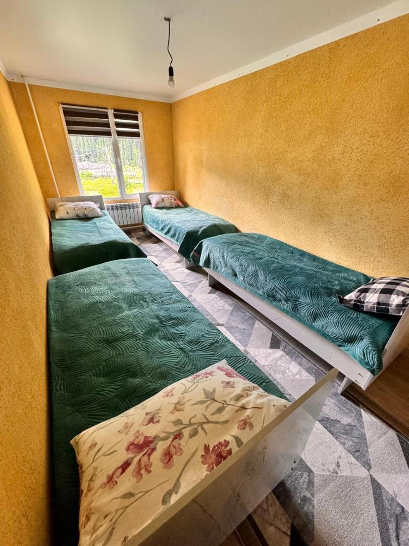 Ala-Kul Guesthouse In Altyn-Arashan Karakol Exteriér fotografie
