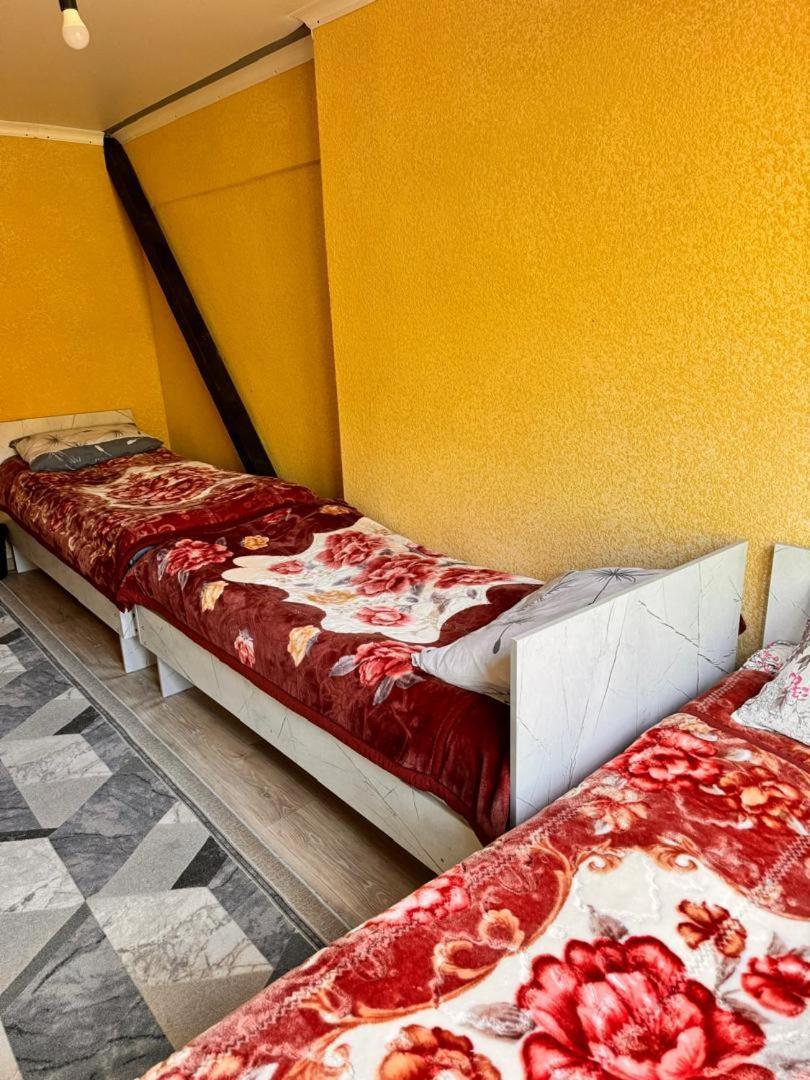 Ala-Kul Guesthouse In Altyn-Arashan Karakol Exteriér fotografie