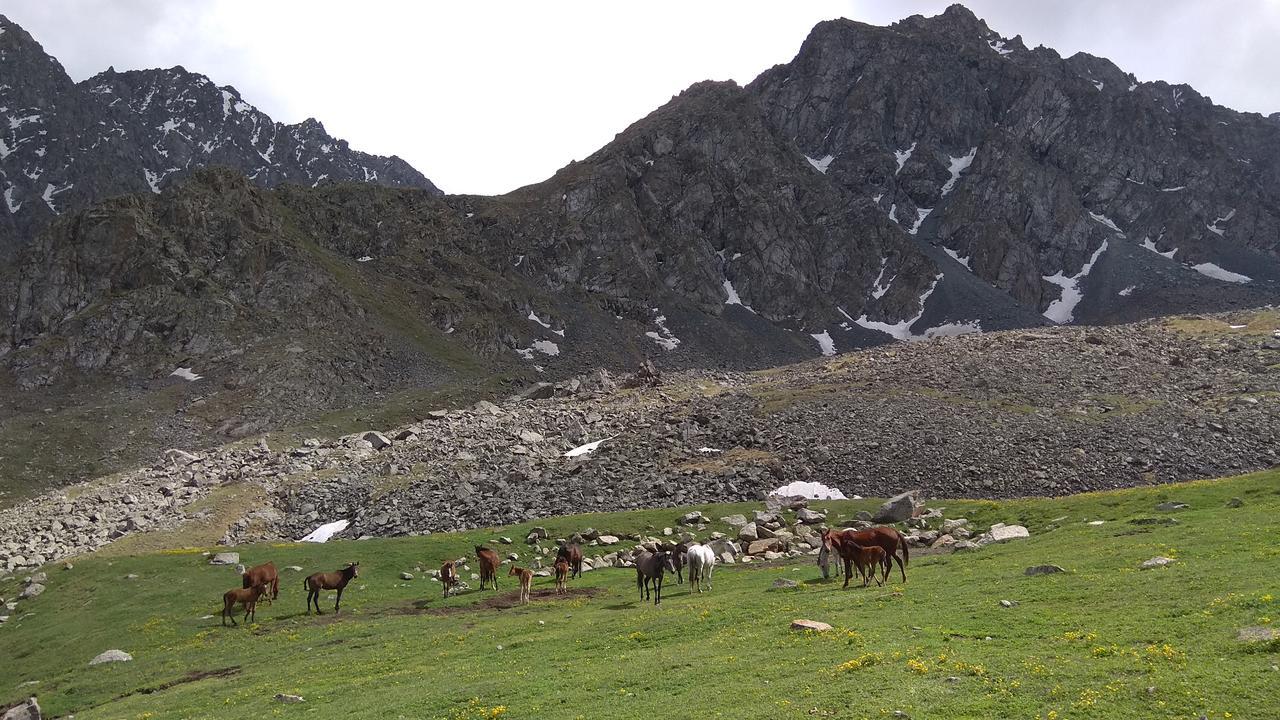 Ala-Kul Guesthouse In Altyn-Arashan Karakol Exteriér fotografie