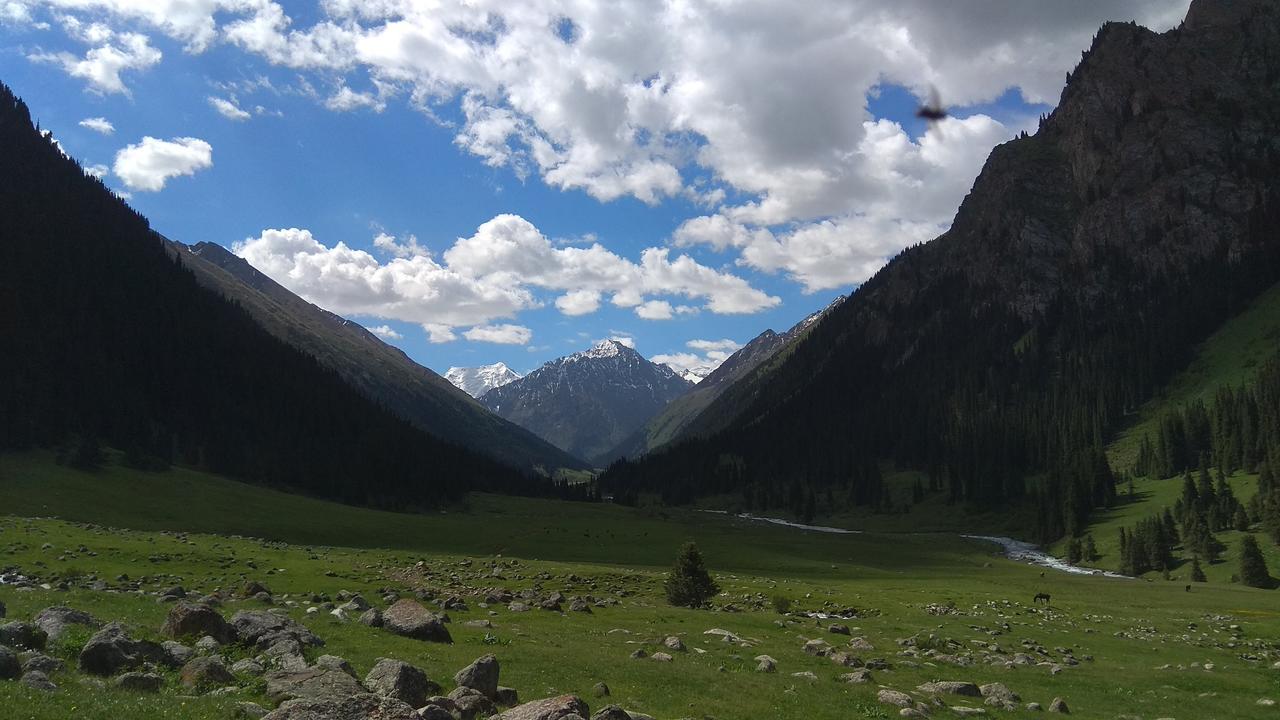 Ala-Kul Guesthouse In Altyn-Arashan Karakol Exteriér fotografie