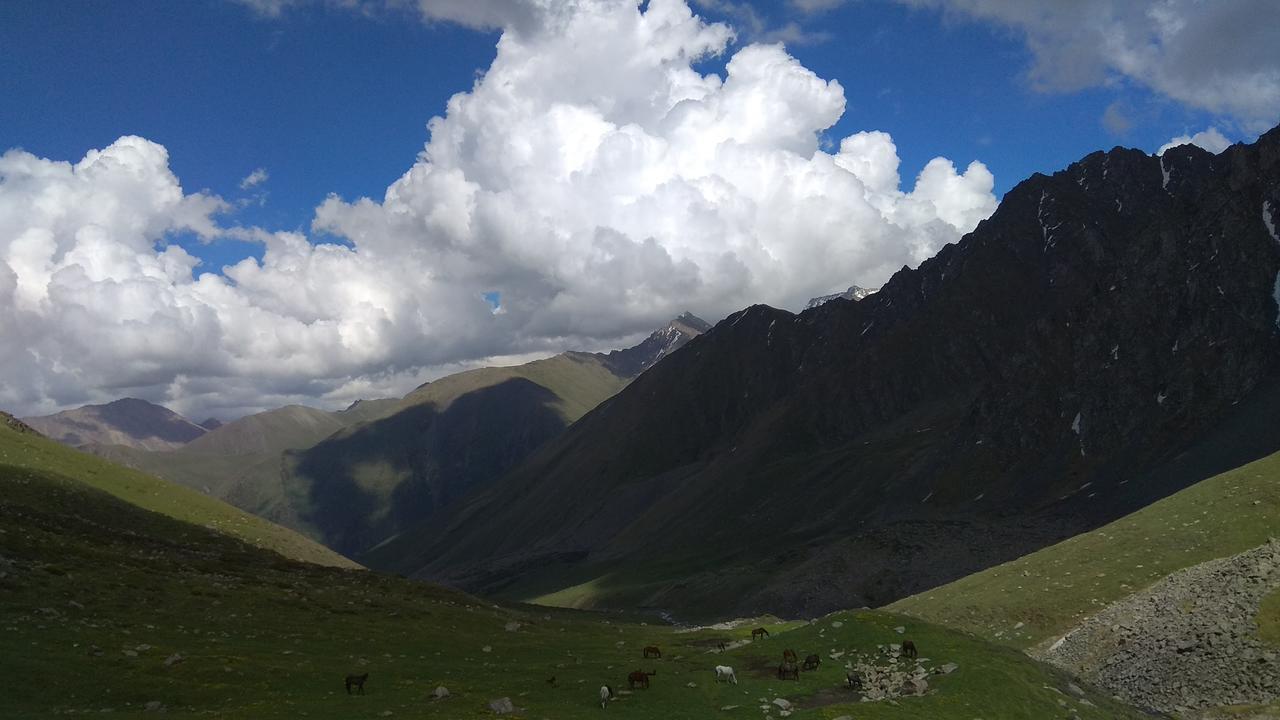 Ala-Kul Guesthouse In Altyn-Arashan Karakol Exteriér fotografie