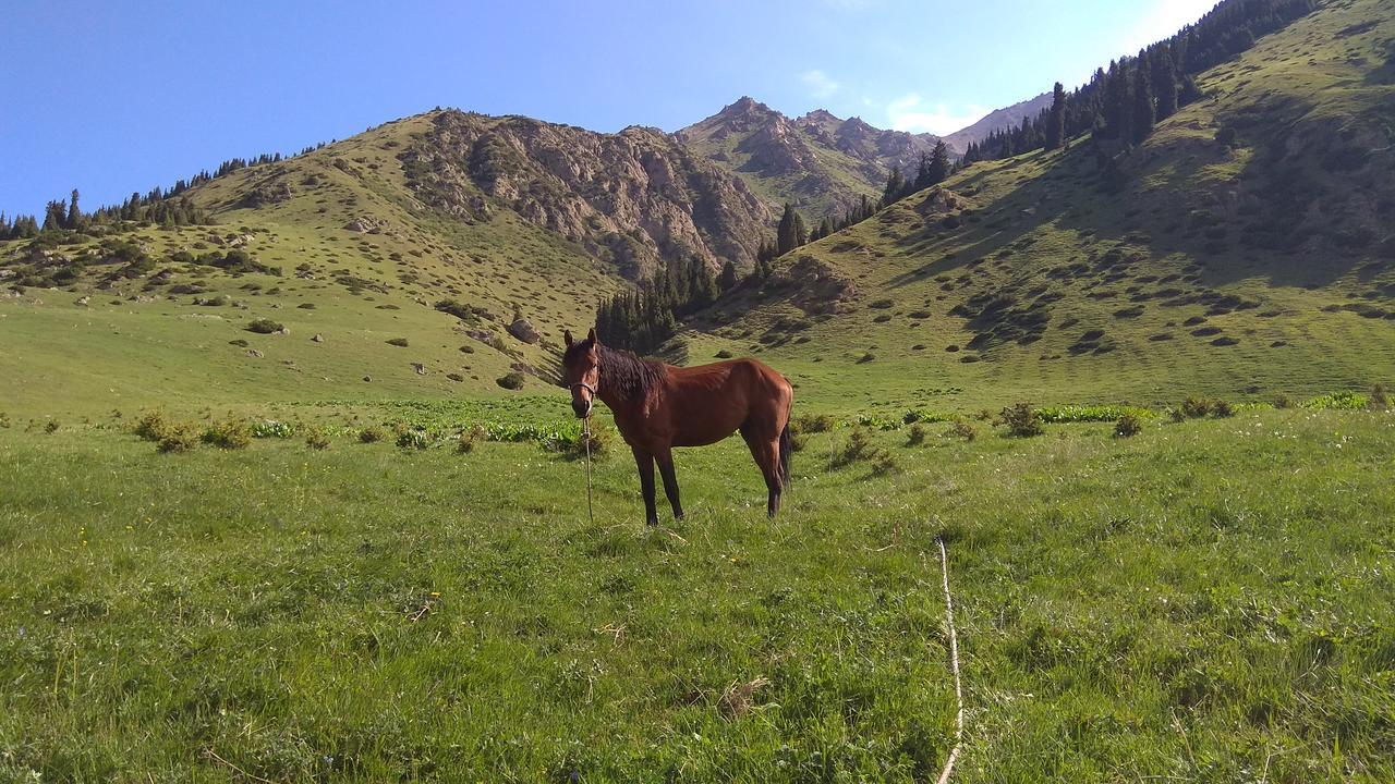 Ala-Kul Guesthouse In Altyn-Arashan Karakol Exteriér fotografie
